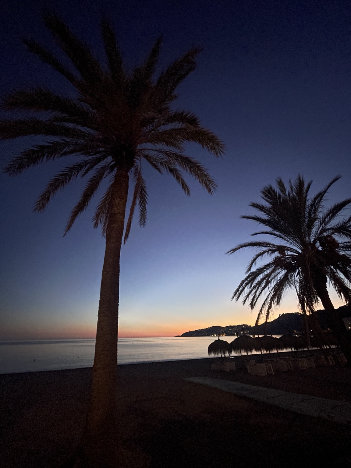 Palm trees silhouetted against a blue and gold Mediterranean sunset
